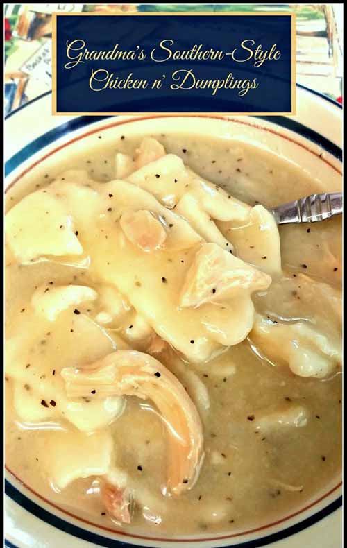 black southern chicken and dumplings
