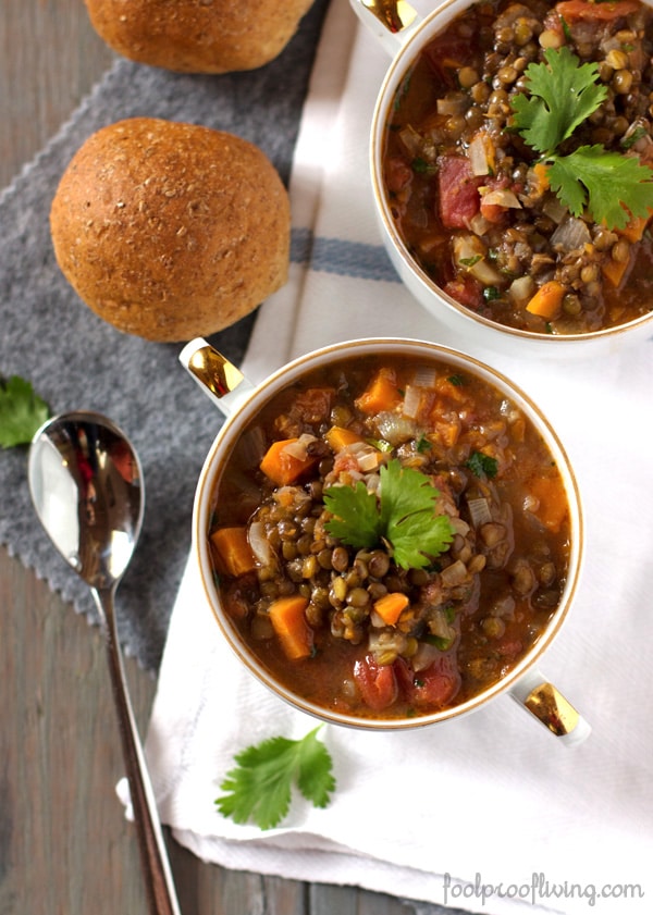 French Lentil Soup Recipe Best Crafts and Recipes