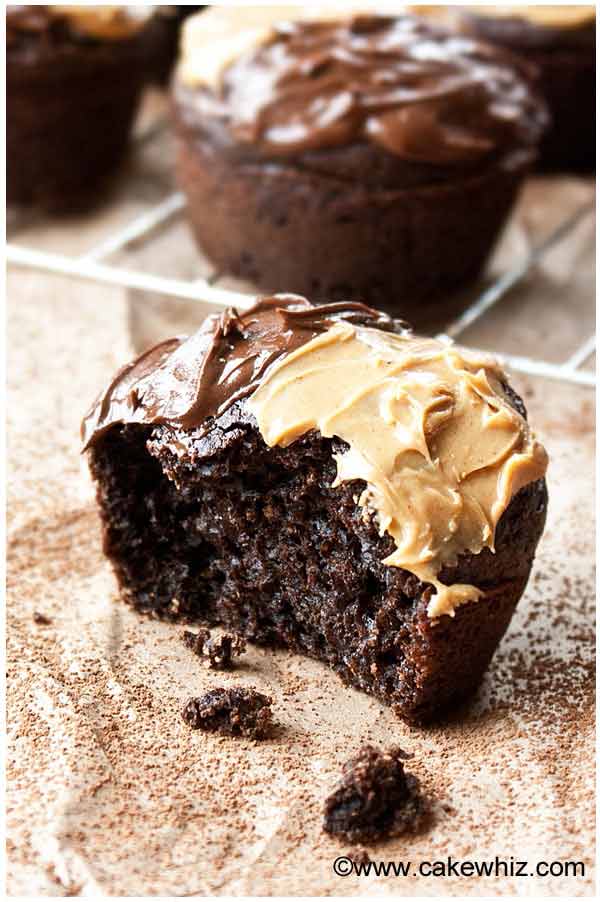 sugar-free-chocolate-cupcakes-recipe-best-crafts-and-recipes