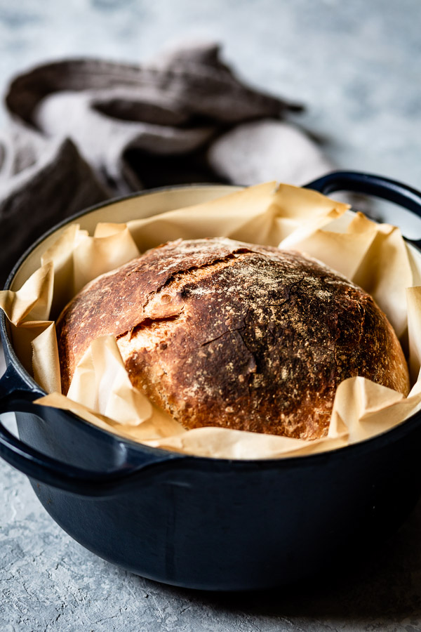Crusty No Knead Artisan Bread - Best Crafts and Recipes