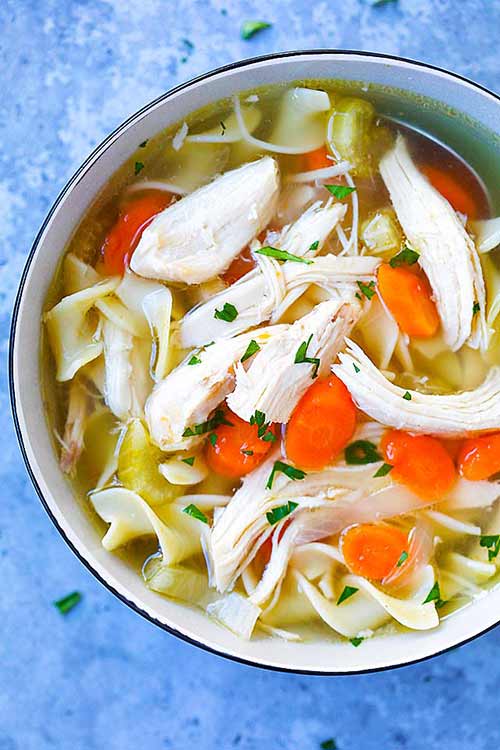 Instant Pot Chicken Noodle Soup Recipe - Best Crafts and ...