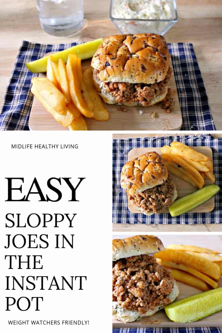 Weight Watchers Sloppy Joes Best Crafts and Recipes