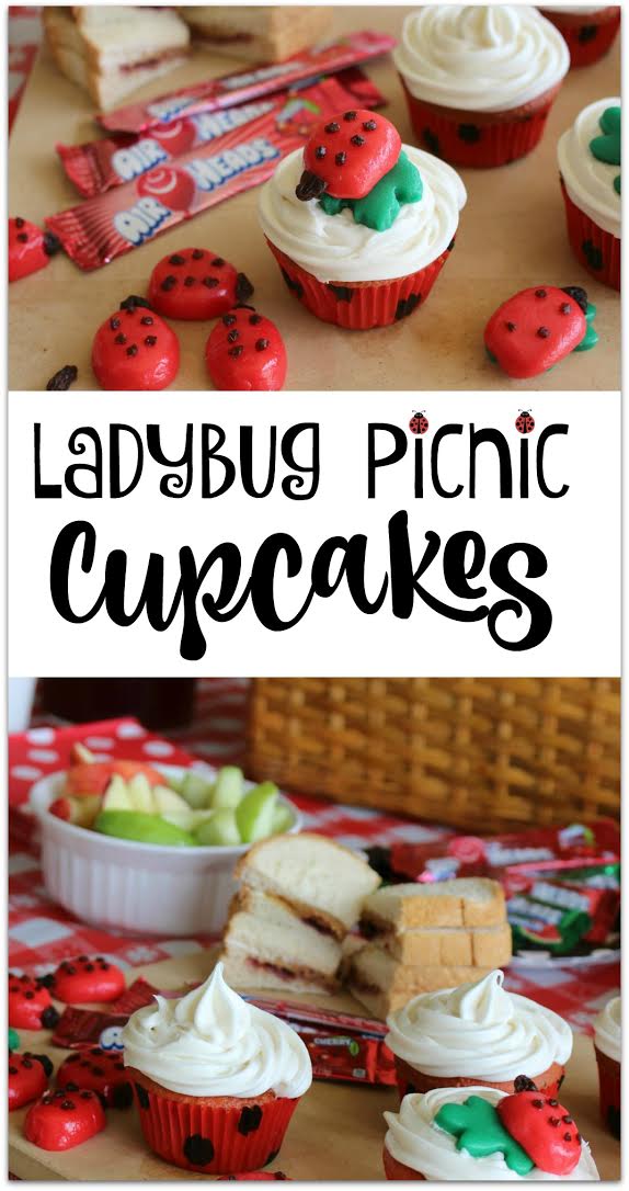 Ladybug Picnic Cupcakes Best Crafts and Recipes