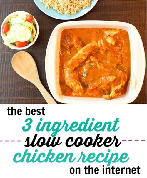 3 Ingredient Slow Cooker Fiesta Chicken Recipe Best Crafts