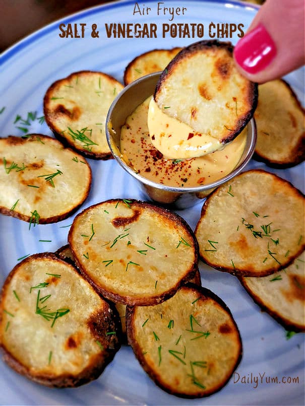 Air Fryer Salt and Vinegar Potato Chips - Best Crafts and Recipes