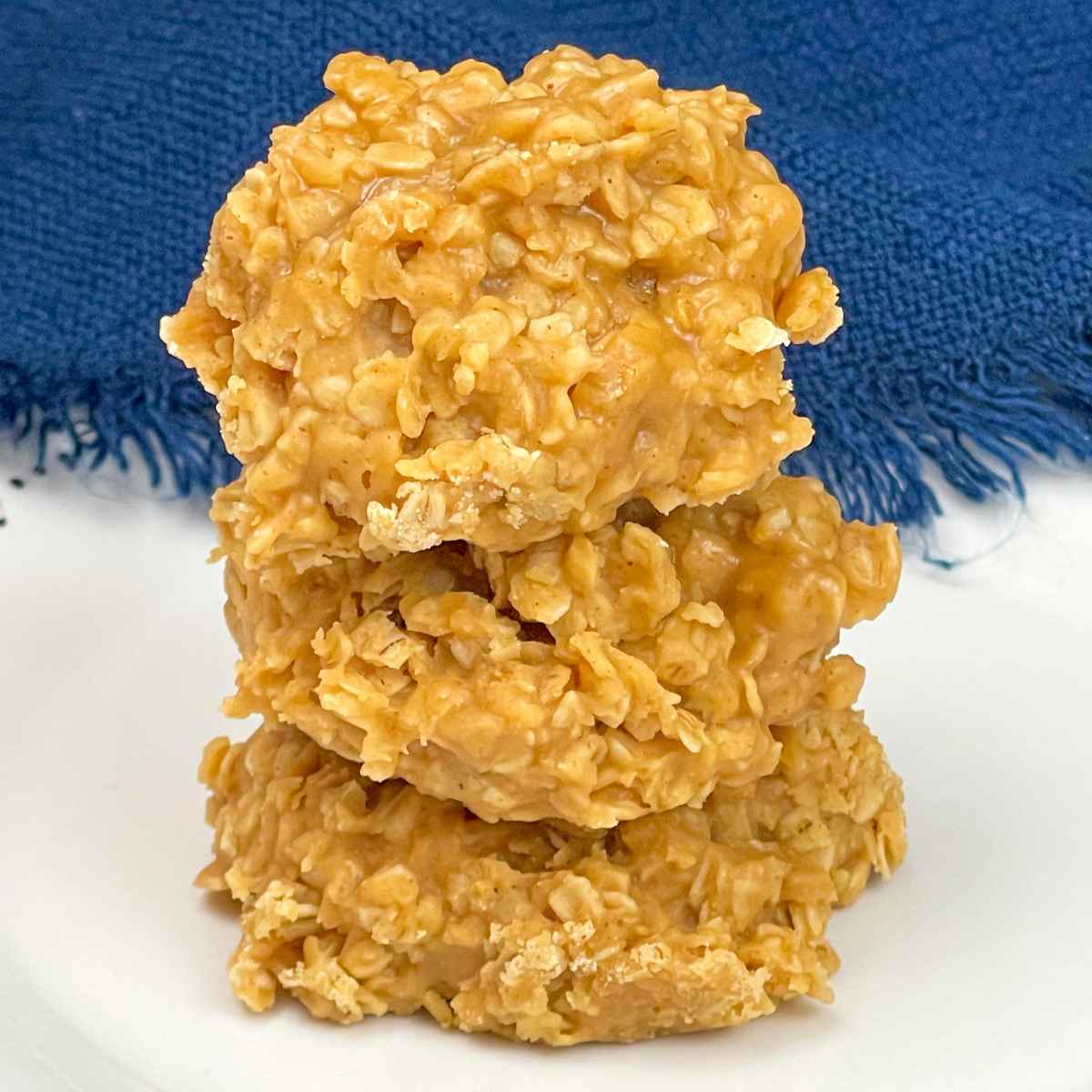 Peanut Butter No Bake Cookies Best Crafts and Recipes